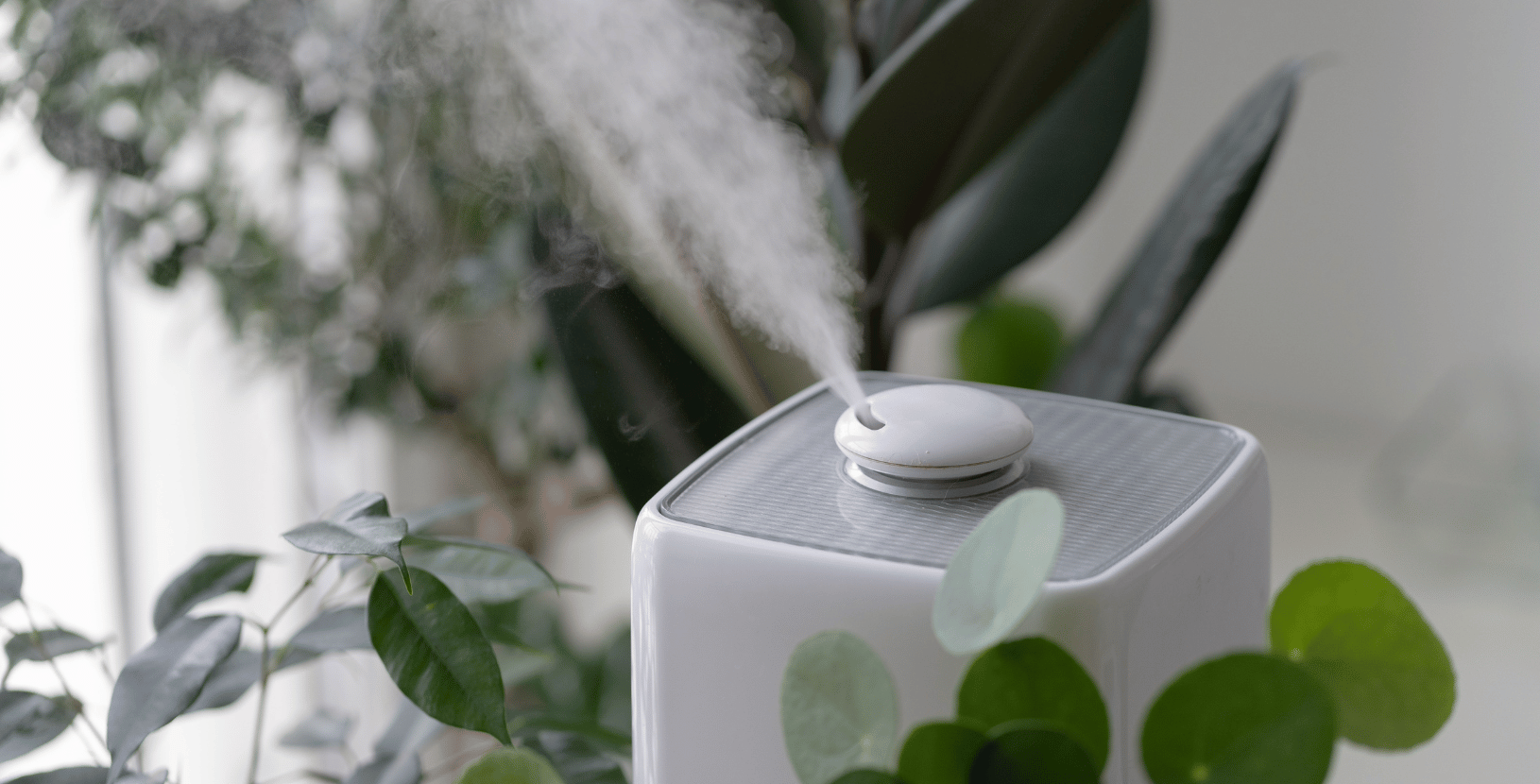 Protecting Your Property Portfolio: The Importance of Humidity and Temperature Monitoring